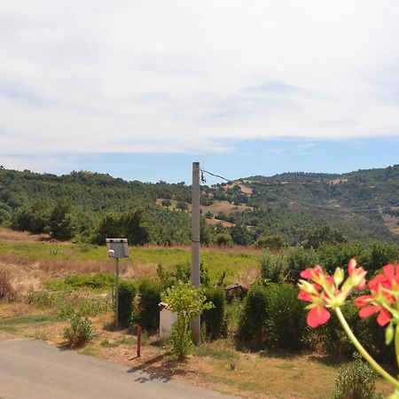 Agriturismo Masseria Castiglione Gallicchio Eksteriør bilde