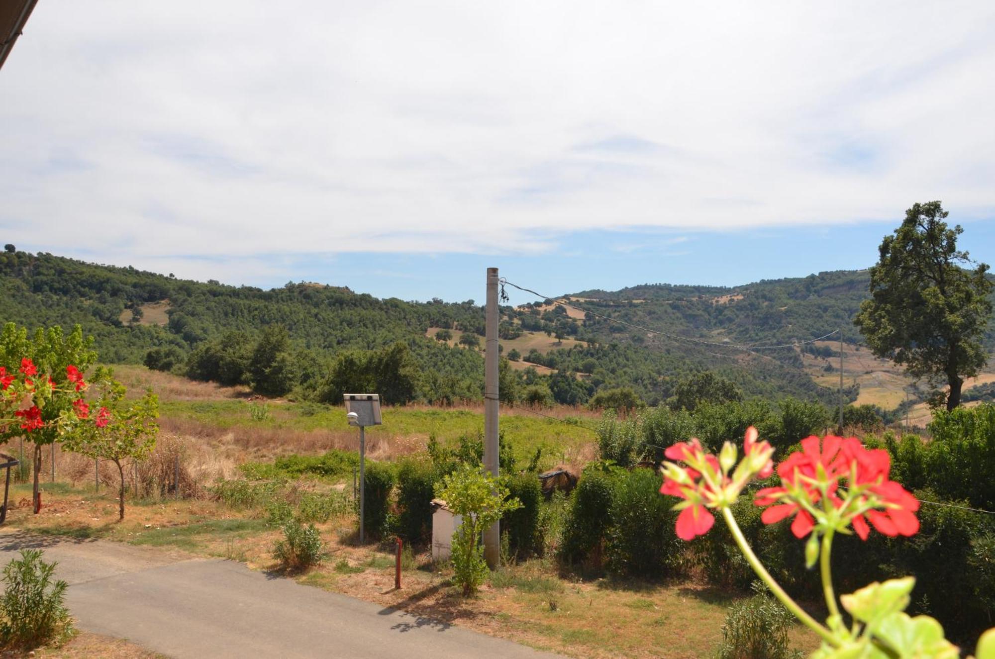 Agriturismo Masseria Castiglione Gallicchio Eksteriør bilde